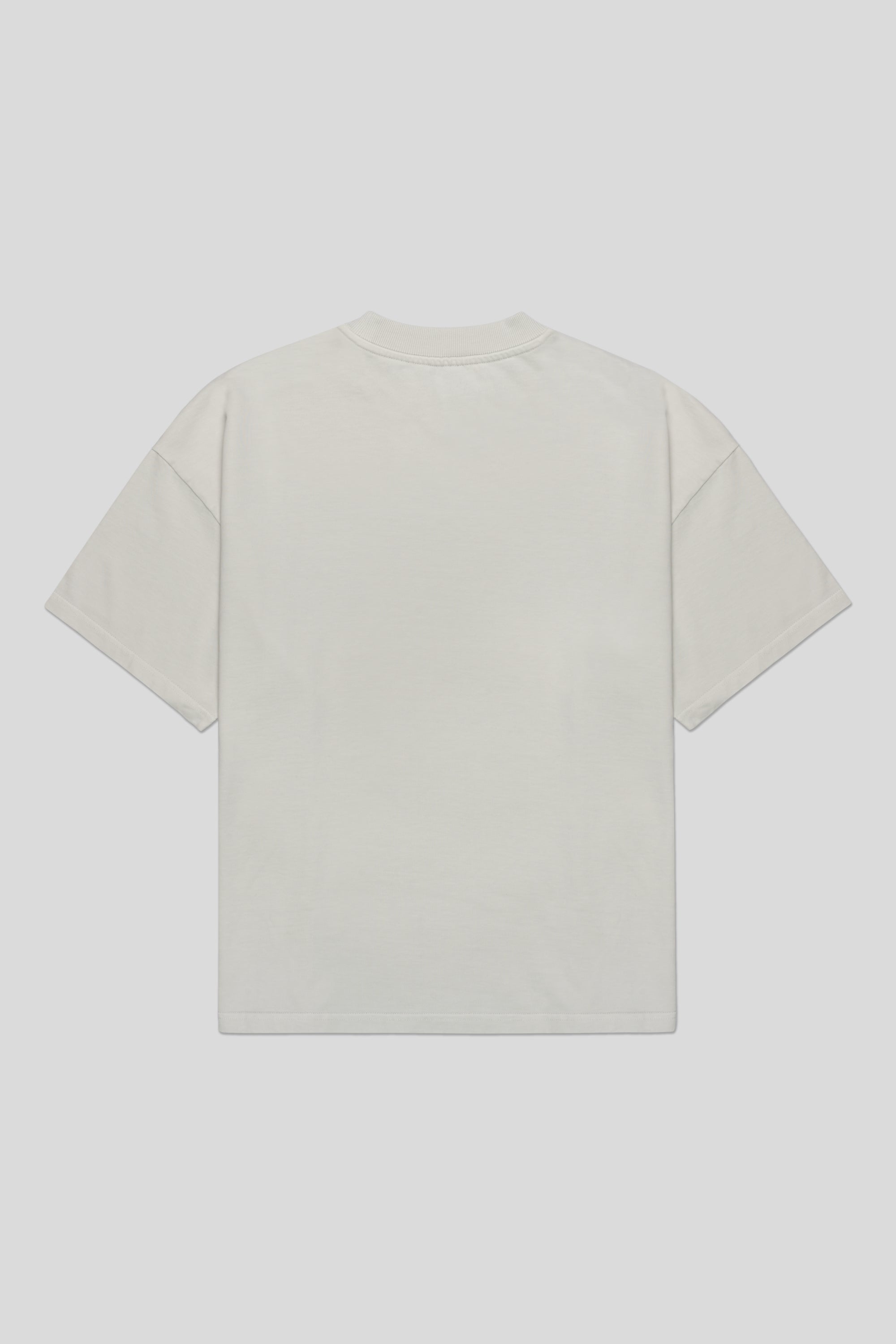 Light Gray T-Shirt